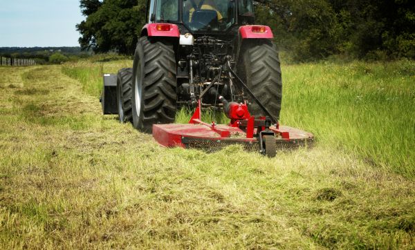 Cost of Brush Clearing Service in Fort Lauderdale