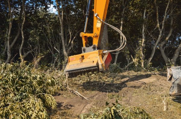 Cost of Brush Removal Service in Fort Lauderdale