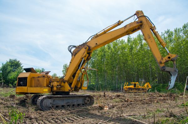 Cost of Farm Clearing in Fort Lauderdale