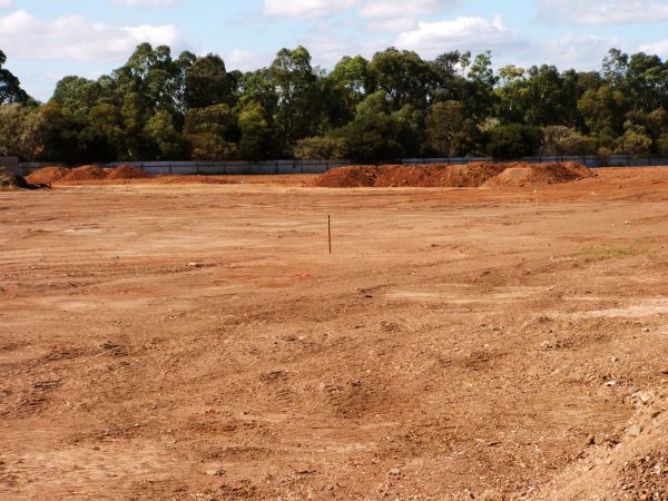 Cost of Field Clearing in Fort Lauderdale