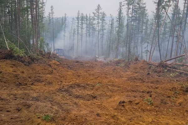 Cost of Hill Clearing in Fort Lauderdale
