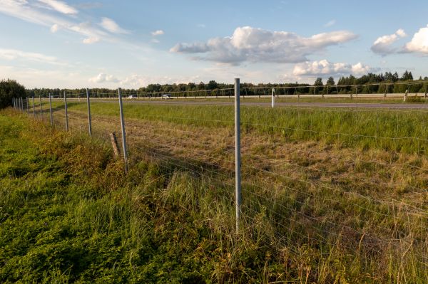 Cost of Property Line Clearing in Fort Lauderdale
