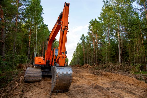 Cost of Backhoe Land Clearing in Fort Lauderdale