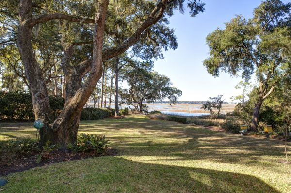 Cost of Lakefront Property Clearing in Fort Lauderdale