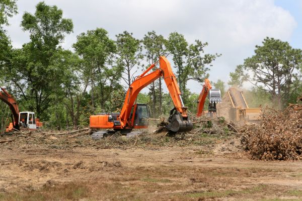 Cost of Commercial Lot Clearing in Fort Lauderdale