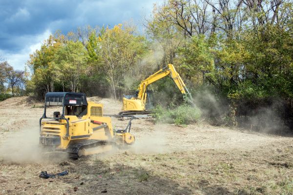 Cost of Terrain Clearing in Fort Lauderdale