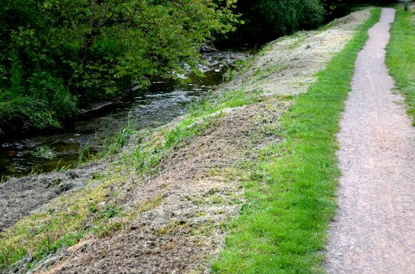 Cost of Trail Cutting in Fort Lauderdale